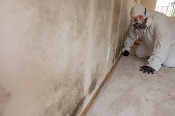 Best Emergency Mold Remediation  in Jennerstown, PA